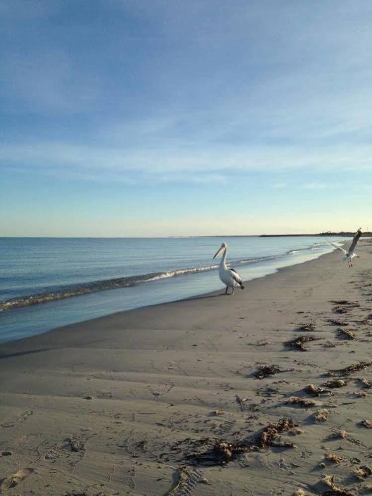 Busselton Guest House Bagian luar foto